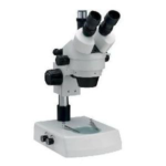 Microscopio stereoscopico